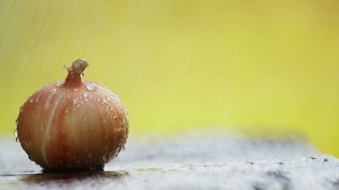 Onion Arrangement On Table Rain Onion Stock Footage Video (100% Royalty ...