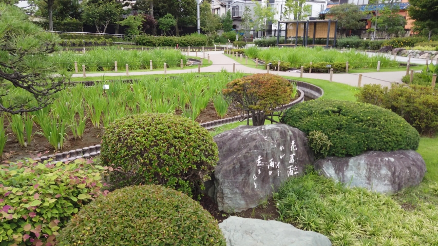 Iris garden in Japan Tokyo