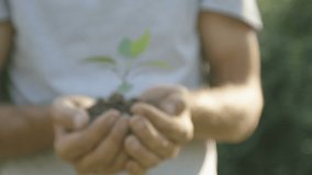  Close up gardeners hands hold a green seedling in their palms  ecologically clean planet