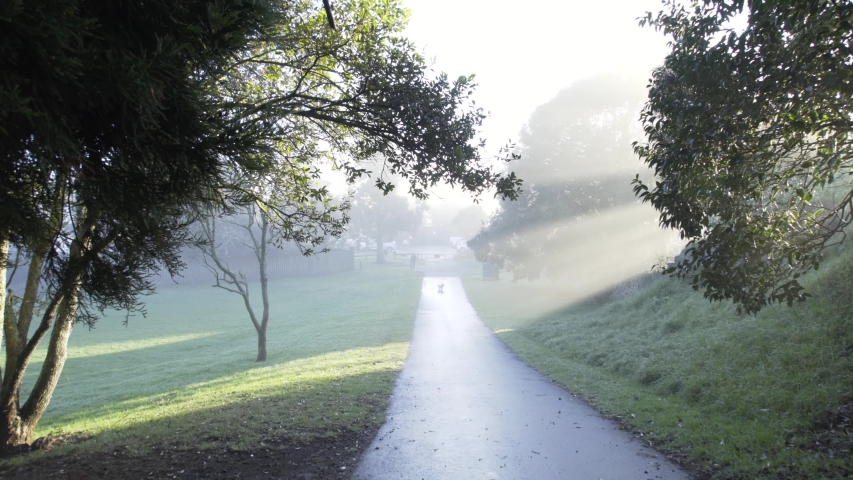 4K Sunlight streaming through on a rainy foggy morning