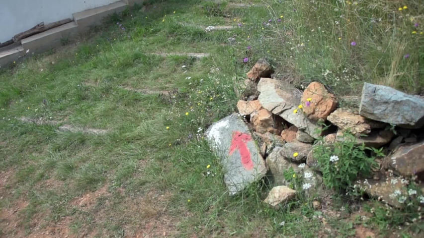 mountain path with stones and trees