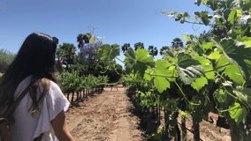 Slow Motion Clip of a brunette mexican latin girl walking through a vineyard during daylight with green plants.