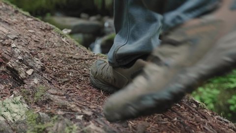 Shoes hiking outdoors taking steps on top of tree log in lush forest adventure travel in the Pacific Northwest