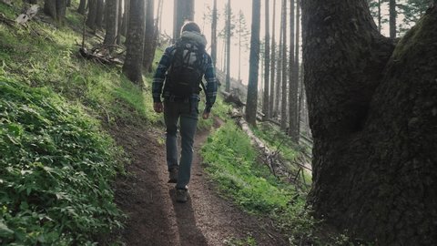 White male hiking on trail up peaceful lush high elevation green forest with sun flares tracking shot from behind