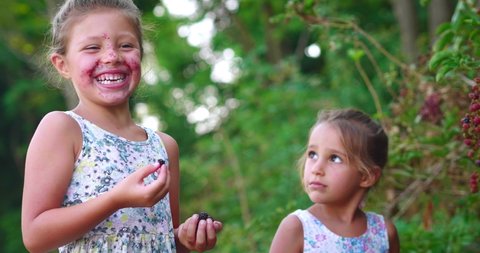Authentic slow motion shot of two happy little girls sisters are eating a fresh biologic blackberries just harvested by themselves in a forest.
