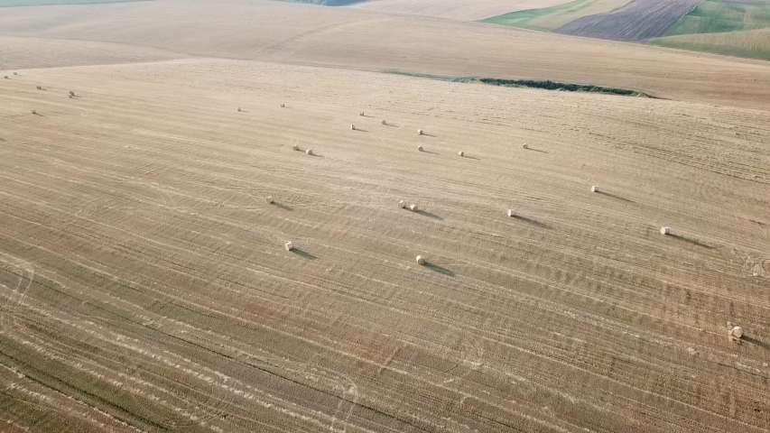 Aerial view of wheat field with bales in summer evening