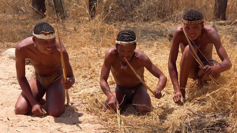 NAMIBIA - CIRCA 2018 - San tribal bushman hunters in Namibia Africa prepare poisoned arrows while hunting for prey on the savannah.