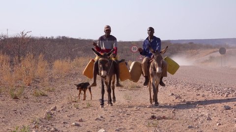 DAMARALAND, NAMIBIA - CIRCA 2018 - Two Himba men ride donkeys along a dusty road in Africa, Damaraland, Namibia bringing water to remote villages.