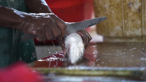 Fish being gutted in market in Victoria, Seychelles. Close up shot of fishmonger hands