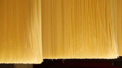 Pasta factory. Production of pasta on a modern production line. 