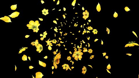 3D animation of a yellow flower petals flow with alpha layer
