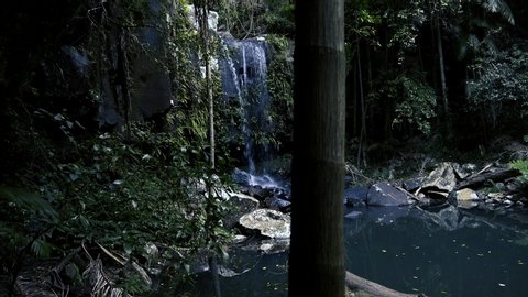 Curtis Falls waterfall located in the Joalah Section of Tamborine National Park which is apart of the Gold Coast Hinterland, Queensland.