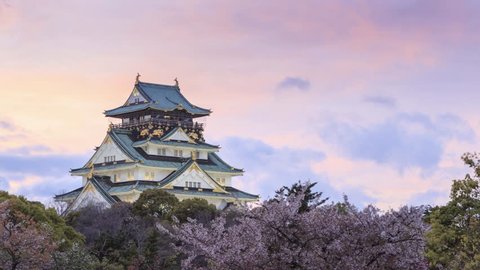 Lit up at the Osaka castle after sunset during Cherry blossoms season in Osaka, Japan.