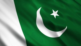 green pakistan flag video vector 
