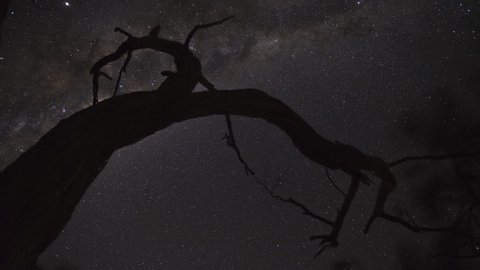 Timelapse of the Milky Way through trees from atop The Picanniny, Dunkled, Grampians National Park, Victoria, Australia