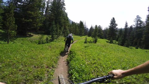 Follow Cam Of Male Mountain Biking Through Mountain Meadows On A Sunny Day