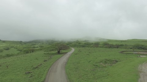 An aerial shot of 2 people cycling on-road through a green landscape. The shot is taken in Salalah city, Oman.  