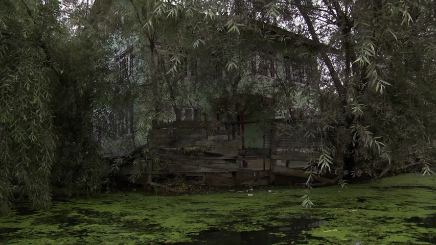 Two storey green colored house built near the riverbank hidden behind trees.