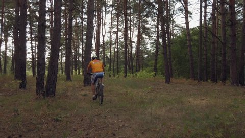 Ukraine, Kiev, July 4, 2019. Mountain Bike Session. Man Driving In The Forest With Mountain Bike. Cyclist Riding the Bike on the Trail in the Beautiful Fairy Pine Forest. Adventure and Travel Concept.
