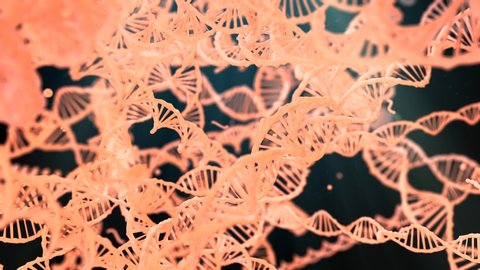 DNA Gene therapy and genetic engineering of human genes for medical research - 3D Animation Render