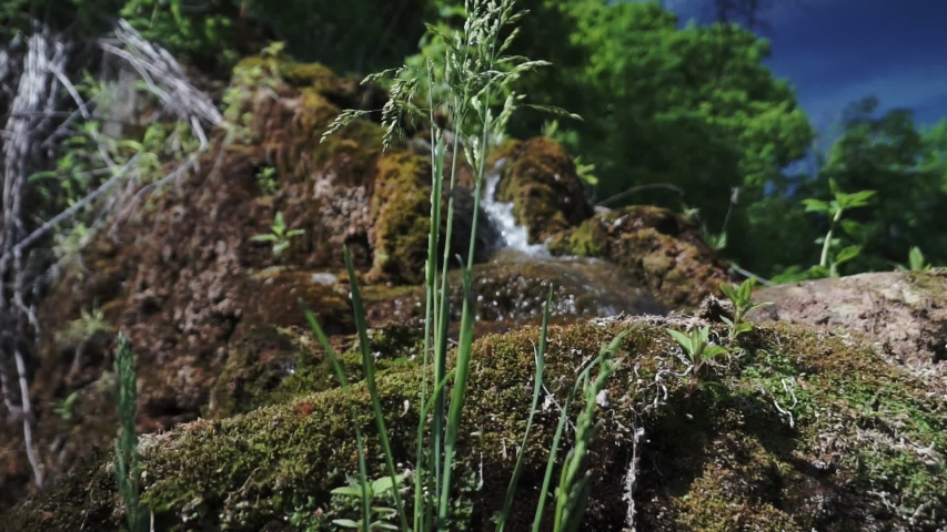 A small stream running down a mountainside in a forest, surrounded by green moss.