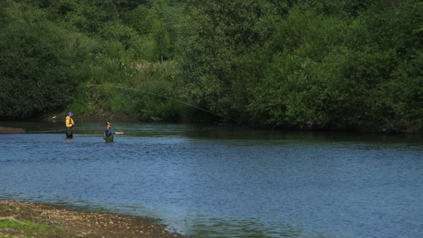 Angling, two men in special clothes holding fishing rods, two people fishing on the river, standing in the water, a small current, the nature is beautiful, summer day, slow motion