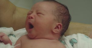 Newborn Yawning , Video In 4K

