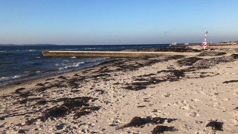 Gröningen Beach in Helsingborg, Sweden, covered with seaweed during winter time