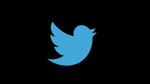 The Twitter Spin Logo Background Stock Footage Video 100 Royalty Free Shutterstock