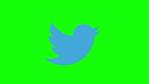 Twitter Bird Stock Video Footage 4k And Hd Video Clips Shutterstock