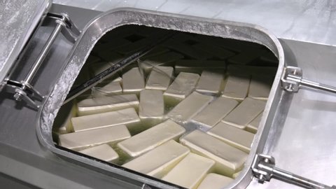 Square Cheese Slices in bath in a water and milk container. Dairy products are found in a dairy production plant and are ready to be stuffed and sold.
