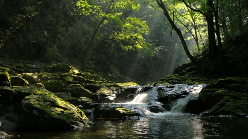 Akame forty eight waterfalls  in Japan, Wonderful fresh water rapids waterfalls river flowing  Royalty-Free Stock Footage #1035625535