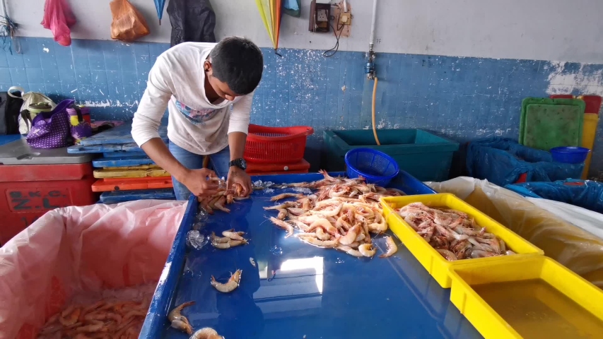 Sekinchan Selangor June 29 2019 Man Is Choosing Stock Footage Video 100 Royalty Free 1035626351 Shutterstock