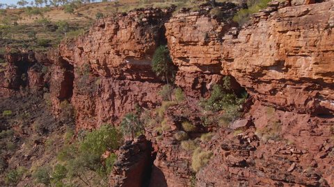 Aerial: amazing red cliffs deep in the Northern Territory with palm trees and red rock. Desert Oasis. Outback Australia. 