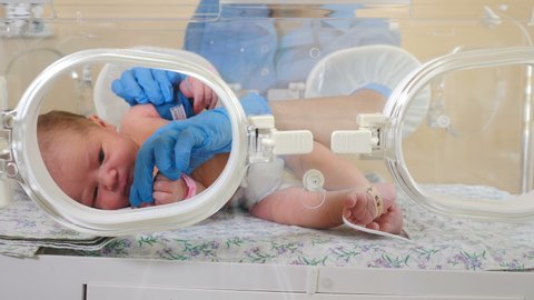 Maternity home concept. Premature baby in incubator under doctor supervision. Closeup shot of nurse hands in blue gloves touching newborn baby feet and hands. 4k
