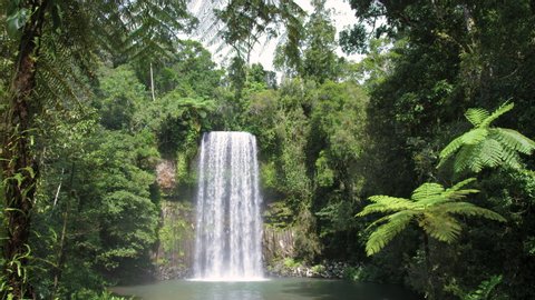 Slow zoom out: Beautiful waterfall framed by ferns and surrounded by pristine jungle in tropical Queensland. Hot summer day. Millaa Millaa Falls. South of Daintree Rainforest. Australia.