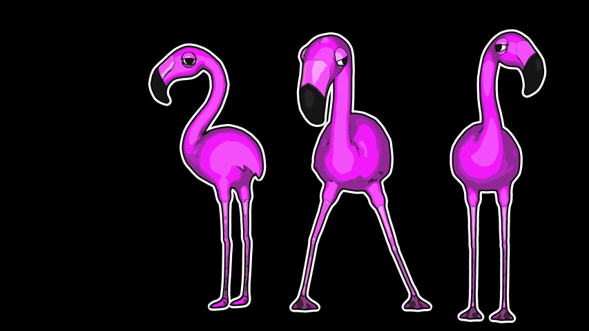 Seamless Animation Of Cartoon Flamingo Stock Footage Video 100