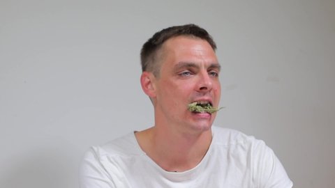 portrait of a doctor holding cannabis in his teeth, edible marijuana