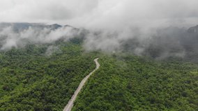 High angle highway with natural forest and fog at north of Thailand