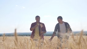 teamwork smart farming. two farmers work in wheat field. farmers explore are studying. man with digital tablet Wheat Field summer in the field wheat bread. slow motion video. farmer Smart farming