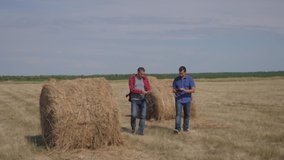 teamwork lifestyle agriculture smart farming concept. two men farmers workers walking studying haystack in field on digital tablet. teamwork slow motion video. people agronomist botanist farmers
