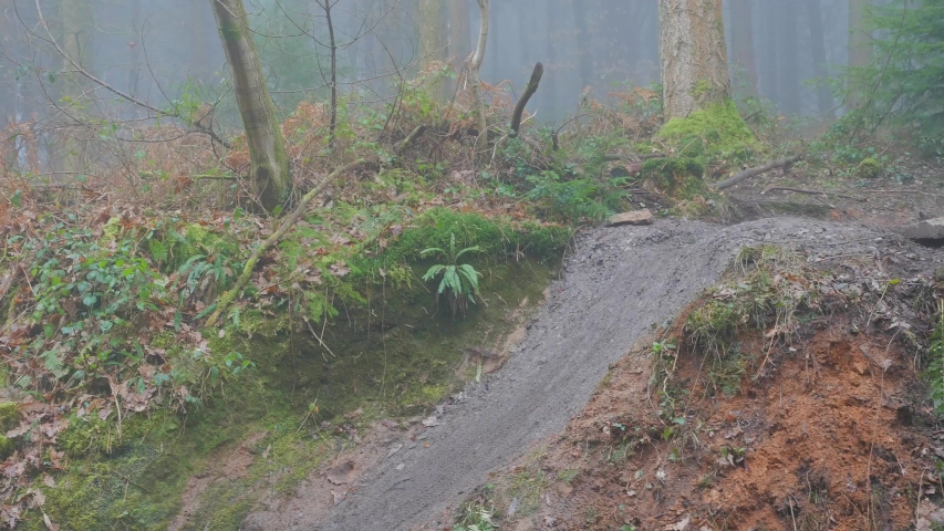 A Mountain Biker Jumps From a small Jump In A Forest.
