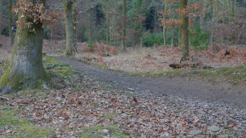 mtb rider makes a jump with his bike
