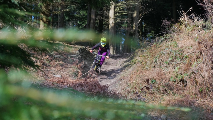 Mountain Biker Riding On Forest Track