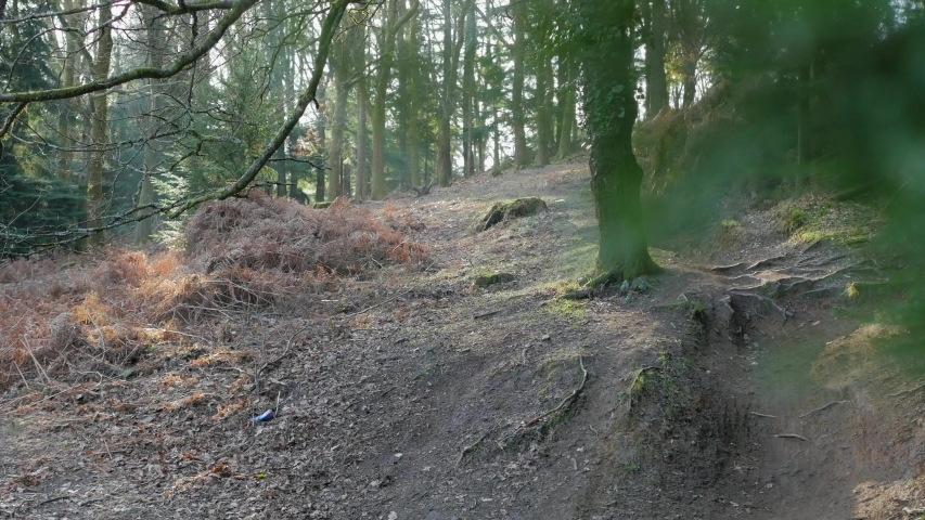 Mountain Biker Riding fast Downhill in Forest