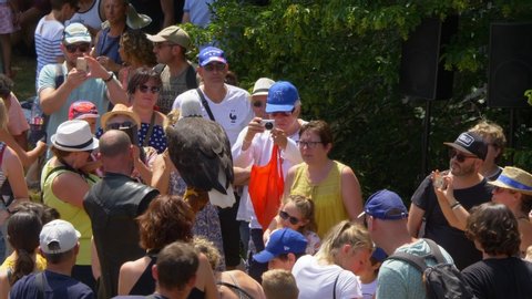 LA ROCHEFOUCAULD, FRANCE - circa JULY 2019. Vol en Scene birds show at Medieval Festival. Bird handler carrying bald eagle in his arm, tourists taking photos of the american symbol animal.