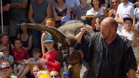 LA ROCHEFOUCAULD, FRANCE - circa JULY 2019. Vol en Scene performing a birds show at the Medieval Festival. Vulture landing in birds handler arm, out of focus people in background. Slow motion