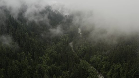 Wisps of cloud blanket the forests above a river