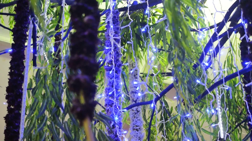 Decorative and colorful LED light.