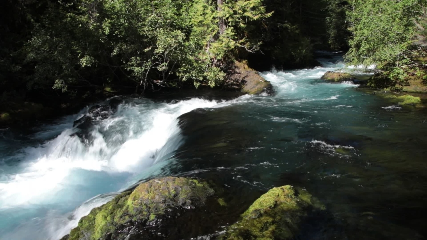 The McKenzie River flows over a rock ledge as it cascades downriver south of Sahalie Falls in the Oregon Cascade Mountains. Its pure blue color comes from the coldness of the water. 